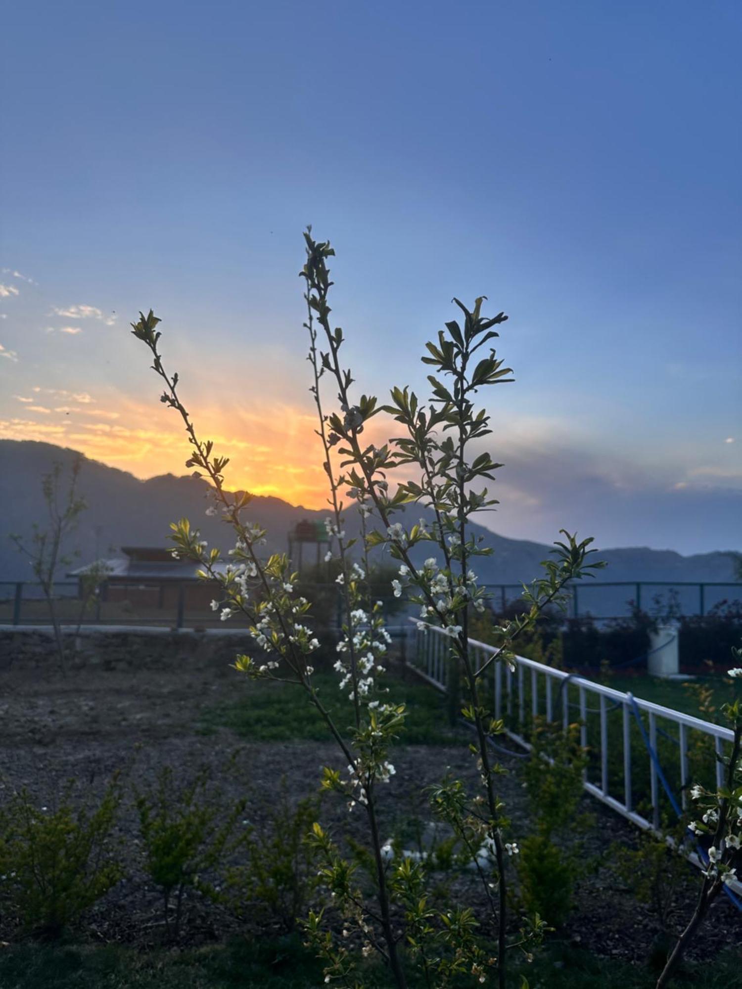 Highfield Villa Kanatal Ngoại thất bức ảnh